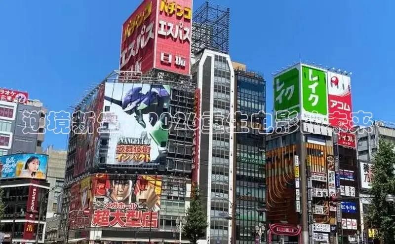 牛牛tv